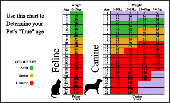 Pet Screening Age Chart